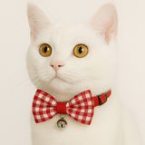 minial Papyonlu Kedi Tasması