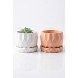 Minic Store 2'li Sukulent Saksı 7x7 cm - Turuncu - Beyaz