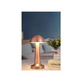 Minihome Mantar Model Dimmerli Şarjlı Retro Masa Lambası Rose Gold
