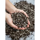 Minik Orman Botanik Doğal Gövde - Palmiyeler ve Ağaçlar Için Substratı (Ficus, Croton, Zeytin, Narenciye, Dracaena, Yucca, Muz, Begonvil, genç ağaçlar) - 10 Litre