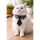 Minikpaw aksesuar Çiçek Desenli Yetişkin Kedi ve Küçük Irk Köpek Gömlek Yaka