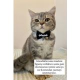 Minikpaw aksesuar Isimli Papyon Tasma Siyah