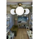 Minimal Globe Gold TRİO Plafonyer Cam Avize - Beyaz - Altın - Bal Rengi