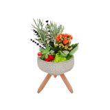 Minimalist Design Serisi Rustic Garden & Ayaklı Papatya Beton Saksıda Saksı Çiçeği Hediye Aranjman