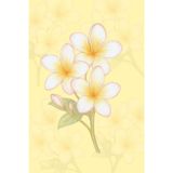 Minimalist Plumeria Notebook: Delicate Tropical Flower Journal in Hand-Drawn Style: 6” x 9” Simple Lined Notebook, 80 Pages – Aesthetic Stationery for Everyday Notes and Journaling