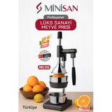 Minisan Mns-506 Profesyonel Sanayi Tipi Kollu Meyve Presi