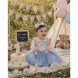 ministok Bluebell Dream Yakası Nakış Detaylı Tütü Etekli Kız Bebek Elbise - Mavi - 9 - 12 Ay