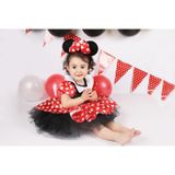 Minnie Mouse Kız Çocuk Doğum Günü Elbisesi & Parti Kostümü Çok Renkli