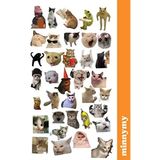 Minnymy 50 Adet Komik Kedi Sticker Seti Hayvan Deseni ile Günlük ve Planlayıcıları Renklendirin