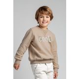 minojoy Fersa Taş Rengi Baskılı Pamuklu Erkek Çocuk Sweatshirt