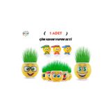 Minopi 1 Kutu Emoji Çim Adam Yapım Seti Okul Eğitici Deney Seti Çim Adam Seti