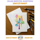 Minopi Amerikan Bristol Karton Bristol Kağıdı 35X50 cm - 200'LÜ Paket Parlak ve Mat Çift Taraflı