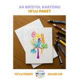 Minopi Amerikan Bristol Karton Bristol Kağıdı A4 - 20X30 cm - 10'lu Paket Parlak ve Mat Çift Taraflı