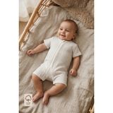 Minory Baby - Fermuarlı Çizgili Kısa Kollu Yazlık Bebek Tulum - Gri - Beyaz - 6 - 9 Ay