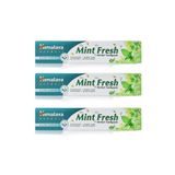 Mint Fresh Ferahlatıcı Diş Macunu, Bitkisel, Vejetaryen, Florürsüz, Parabensiz, 75 ml 3 Adet
