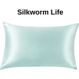 Mint Renkli % 100 Saf Ipek Yastık Kılıfı - 50 X 70