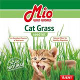 Mio Kedi Çimi Fileli