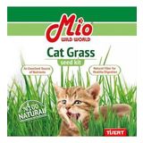 MİO KEDİ ÇİMİ