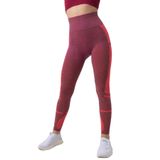 MioFİT Kadın Seamless Spor Kısa Tayt RUBY S-M