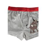Miorre Erkek Çocuk Boxer-001 STD 3-4