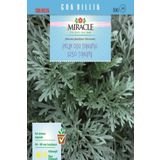 Miracle 250 Tohum Pelin Otu Tohumu