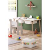 MİRACLE 3D 90x45 cm Çocuk Oyun Etkinlik Çalışma Masası Ve Sandalye 2 sepetli , Aktivite Masası