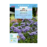 Miracle Ageratum Mexicanum Mavi Vapur Dumanı Çiçeği 1000 Tohum