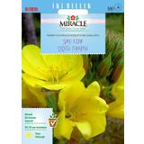 Miracle Ezan Çiçeği 480 Tohum