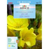 Miracle Ezan Çiçeği Tohum- 480 Tohum