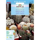 Miracle Karışık Kaktüs Bitkileri Çiçeği Tohumu (100 tohum)