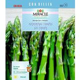 Miracle Tohum Kuşkonmaz (20 adet)