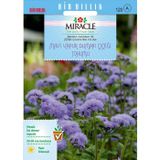 Miracle Tohum Miracle Ageratum Mexicanum Mavi Vapur Dumanı Çiçeği Tohumu (100 tohum)