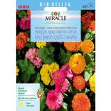 Miracle Tohum Miracle Karışık Kaliforniya Zinya Kirli Hanım Çiçeği Tohumu (50 tohum)