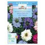 Miracle Tohum Miracle Karışık Renkli Çörek Otu Çiçeği Tohumu (100 tohum)