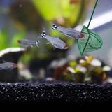 MiraLive Akvaryum Balık Kepçesi 10 cm - Renkli