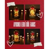 MiraLive Ayıcıklı Ledli Gül Fanus - Renkli - standart