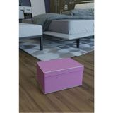MiraLive Baza Altı Boy Çok Amaçlı Düzenleyici Kutu Organizer Cırt Cırtlı Hurç 19CM x 40CM x 50CM (10 Adet) - Renkli - Standart