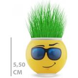 MiraLive Çim Adam Saksı Emoji Figürlü 1 Adet - Renkli