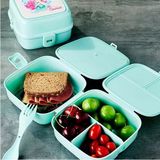 MiraLive Porky 4 Bölmeli Çatallı Beslenme Kabı - G400 - Renkli - 1