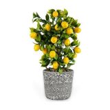 miraye Dekoratif Beton Saksıda Büyük Boy Yapay Limon Ağacı