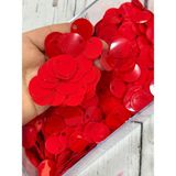 Mirayla Hobi 20 mm (2 cm) Pul Çanta, Supla, Patik Pulu 25 gr - 46 Bayrak Kırmızı