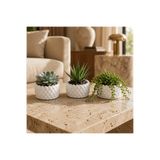 MİREVA 3'lü Örgü Desenli Mini Saksı Seti – Modern Dekoratif Minimalist Skulent ve Kaktüs Saksı Seti