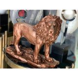 Mirsa Global Dekoratif Aslanl Biblo Ev Ofis Heykal Polyester Bronz