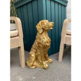 Mirsa Global Dekoratif Golden Köpek Biblo Avcı Köpeği Heykel