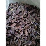 Mis Baharat Karabaş Otu 1 Kg ( Doğal Kurutulmuş Yeni Mahsül Taze Ürün)
