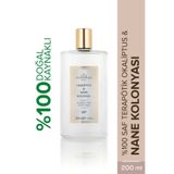 Misbahçe 200 ml Nane Okaliptus Kolonyası