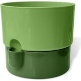 Misda Store Dora Saksı Tabaklı Çiçek Kaktüs Saksısı Parlak Plastik Saksı (Yeşil, 2 Litre)