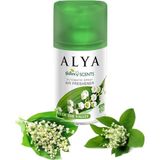 Misda Store Nature's Scents Lilly Of The Valley - Müge Çiçeği Oda Kokusu Yedek Makine Spreyi 250 ml