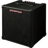 Misda Store Promethean Elektro Bas Combo Amplifikatör 20 W @8ω - 1 x 20,3 cm Hoparlör (P20)