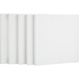 Misda Store Tuval 25X25 cm 5'li Paket